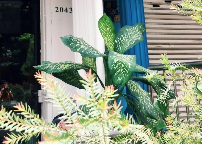 Bed & Breakfast Mstay Bangkok