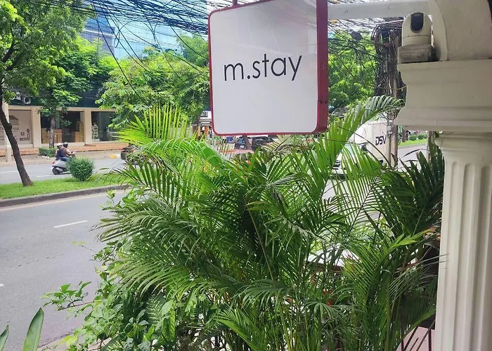 Mstay 3*